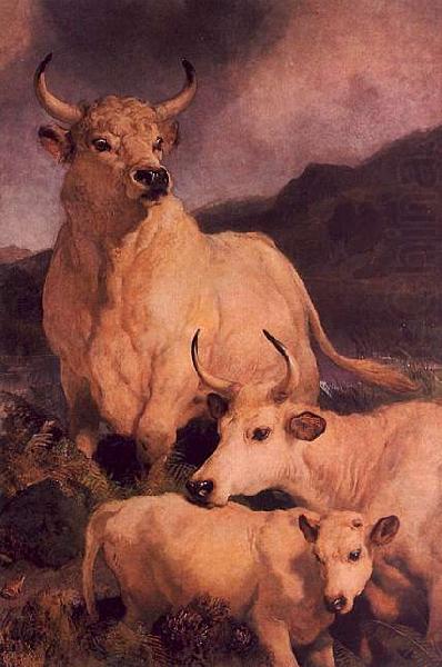 Sir Edwin Landseer Wild Cattle at Chillingham china oil painting image